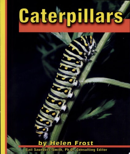 Caterpillars (Butterflies)