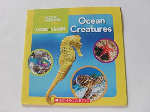 Ocean Creatures