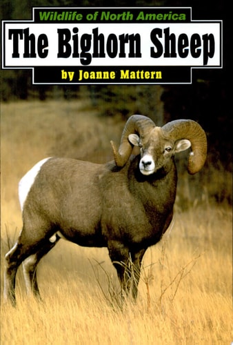 The Bighorn Sheep (Wildlife of North America)