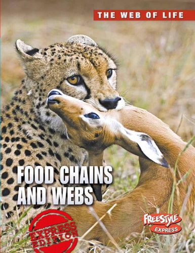 Food Chains and Webs (The Web of Life)