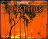 Forest Fires (Natural Disasters)