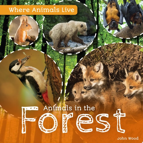 Animals in the Forest (Where Animals Live)