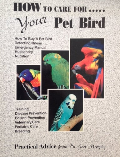 How To Care for Your Pet Bird