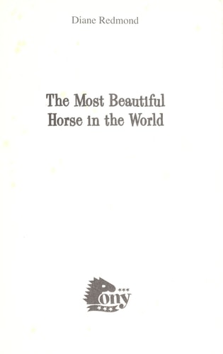 The Most Beautiful Horse in the World
