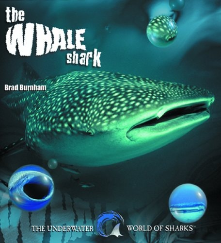 The Whale Shark (The Underwater World of Sharks)