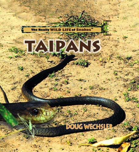 Taipans (The Really Wild Life of Snakes)