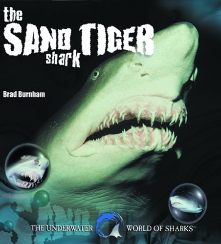 The Sand Tiger Shark (The Underwater World of Sharks Series)