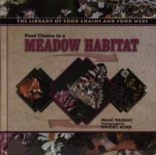 Food Chains in a Meadow Habitat (The Library of Food Chains and Food Webs)