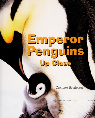 Soar to Success: Soar To Success Student Book Level 3 Wk 5 Emperor Penguins Up Close