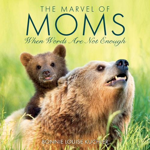 The Marvel Of Moms