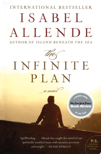 The Infinite Plan: A Novel