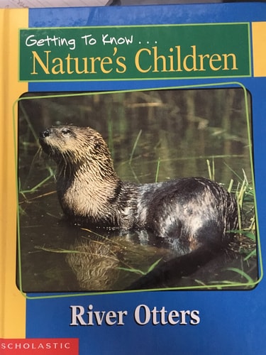 Getting to Know Nature's Children:  River Otters / Red Fox
