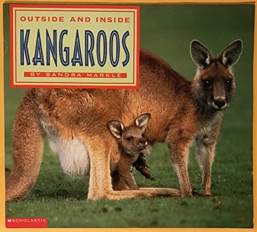 Outside and inside kangaroos
