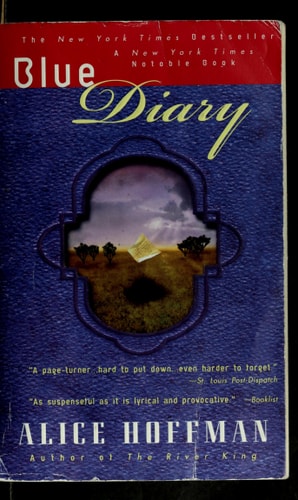 Blue Diary