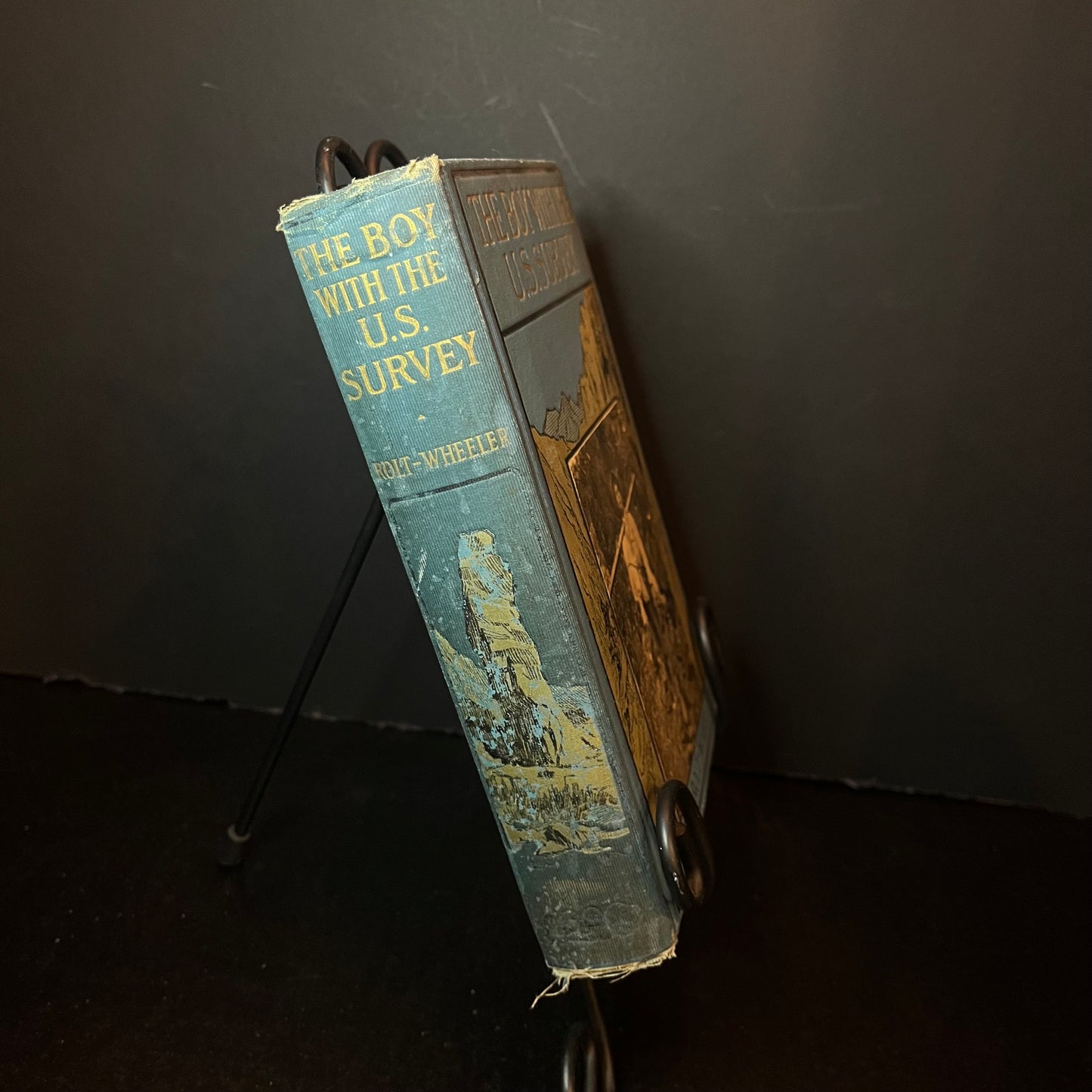 The Boy with the U.S. Survey - Francis Rolt-Wheeler - 1909