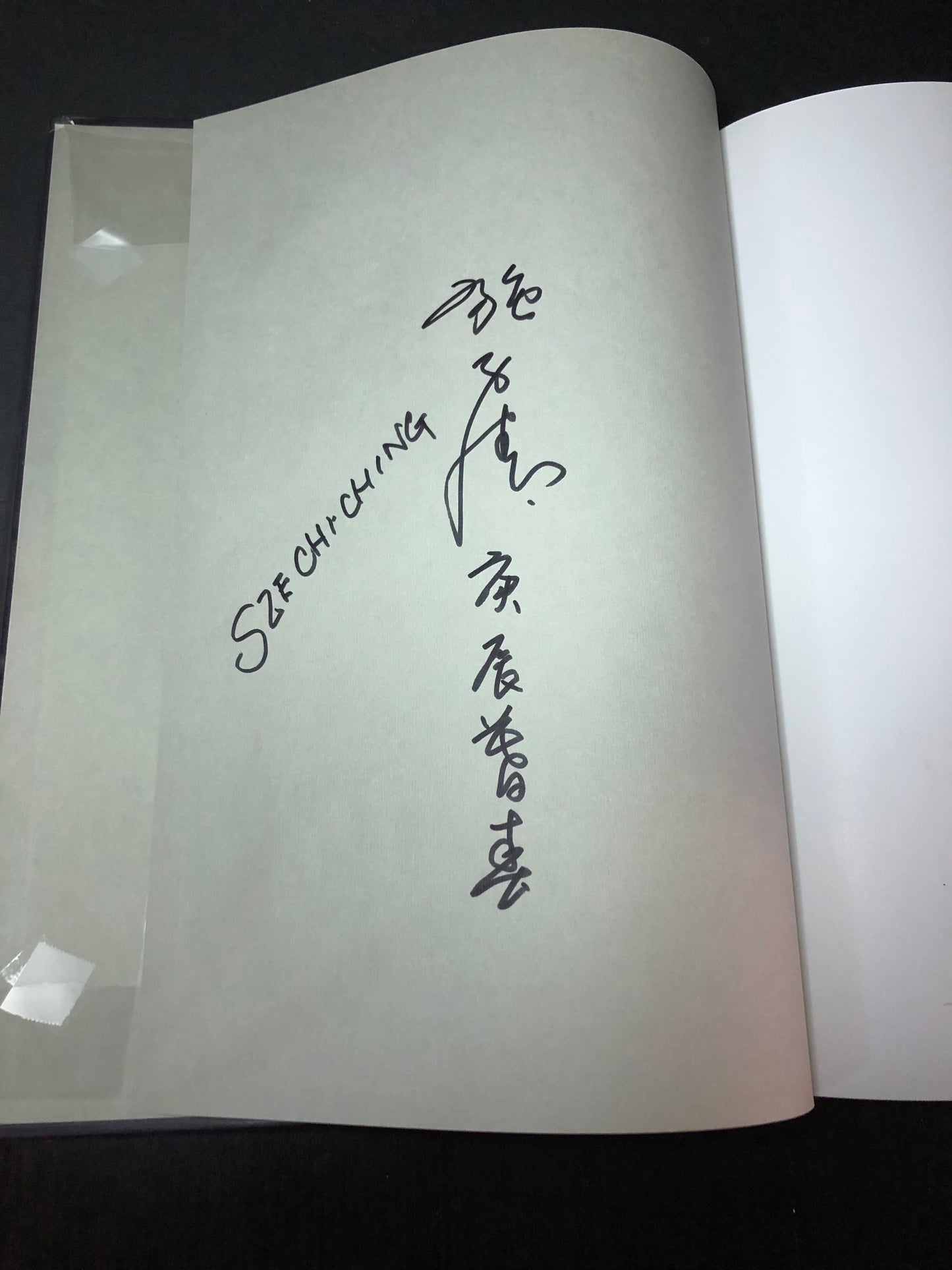 Sze Chi Ching Calligraphy Collection - Sze Chi Ching - Signed - 2013