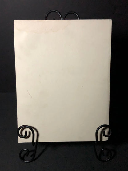 The Species, Genera, and Tribes of the Living and Extinct Horses of the World 1758 - 1966 - Morris F. Skinner - Scarce - 1992