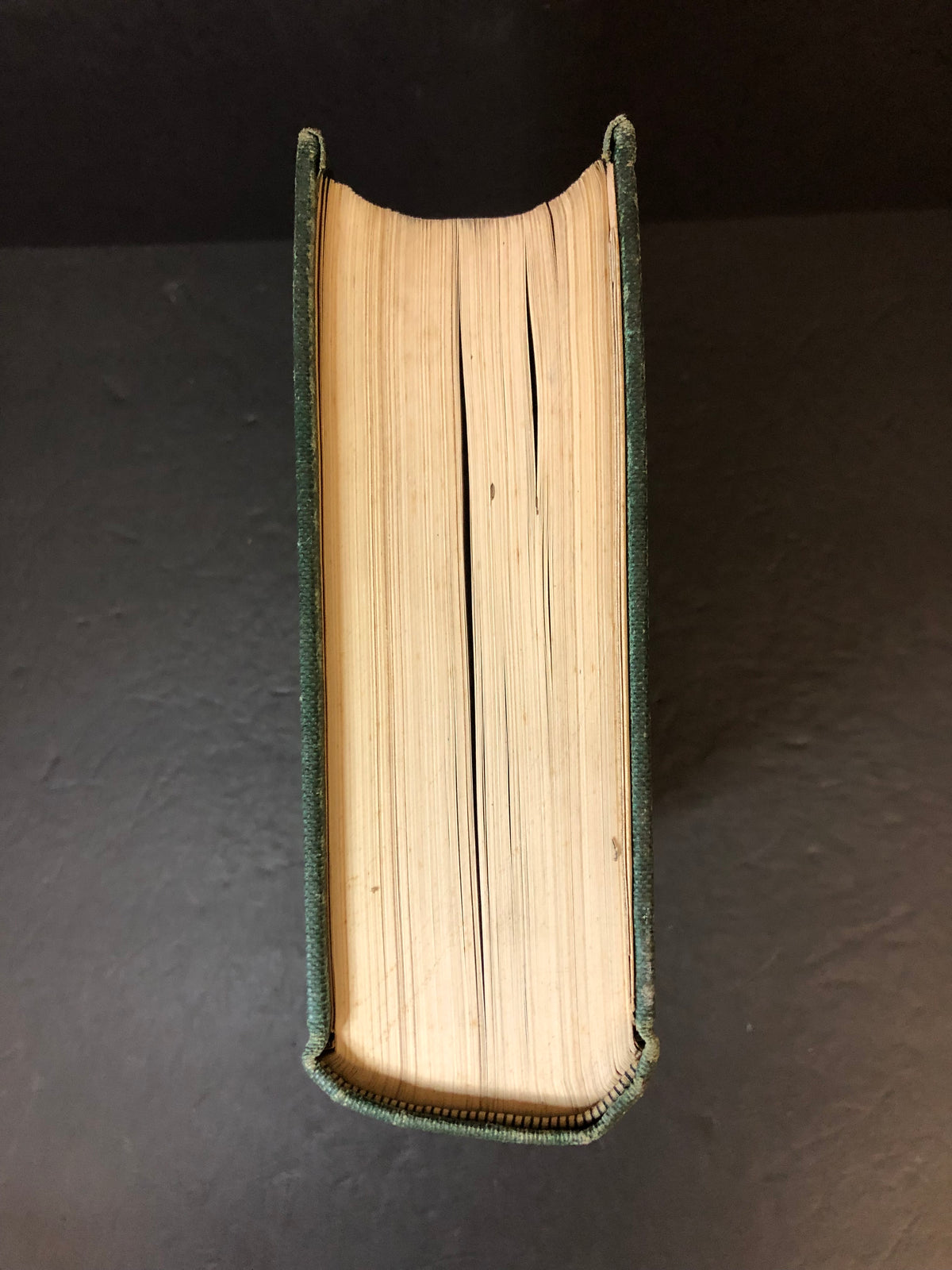 The Principles and Practice of Obstetrics - Joseph B. De Lee - 1913