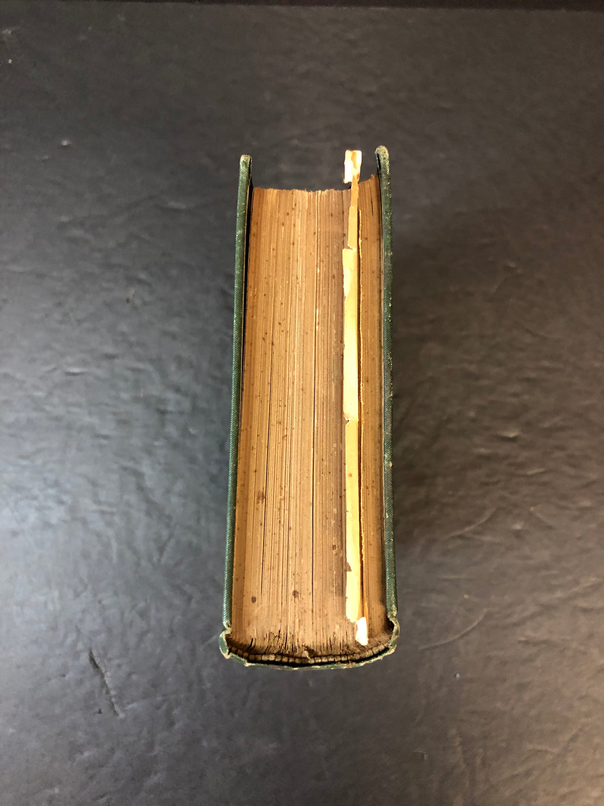 Atlas of Legal Medicine - Dr. E. Von Hofmann - 1898