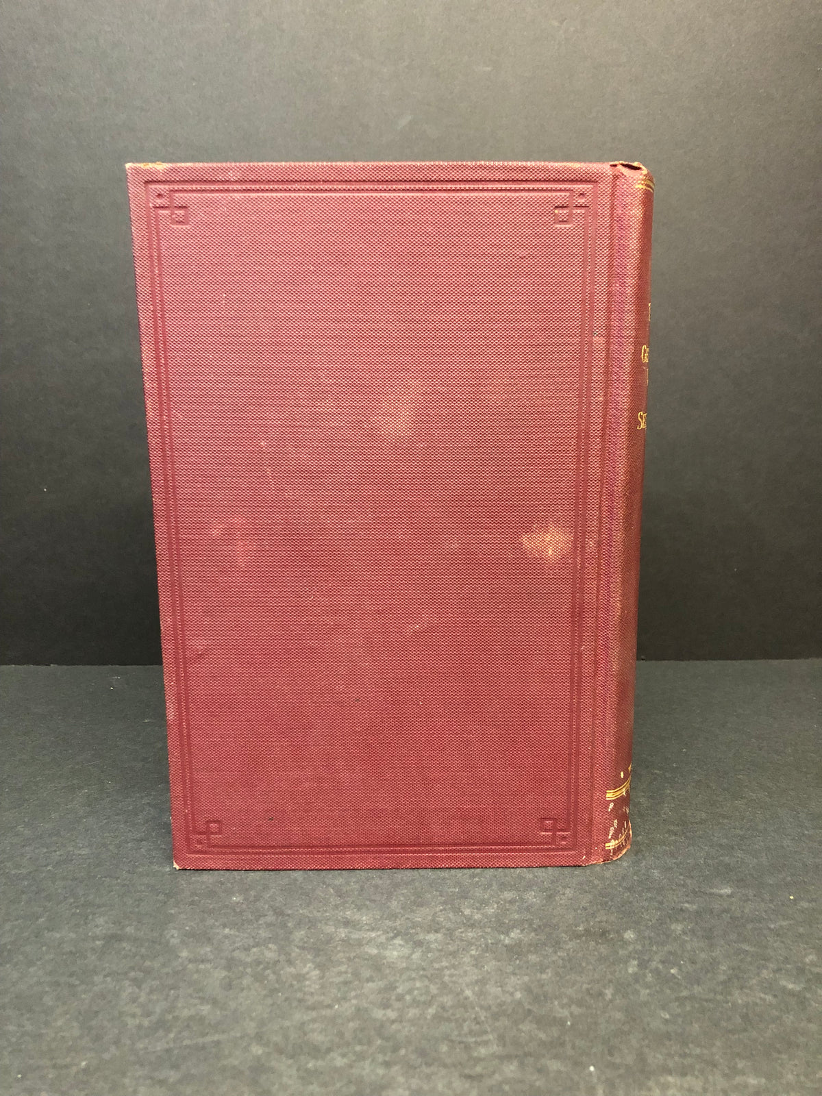 The Surgical Diseases of the Genito-Urinary Tract - G. Frank Lydston - 1899
