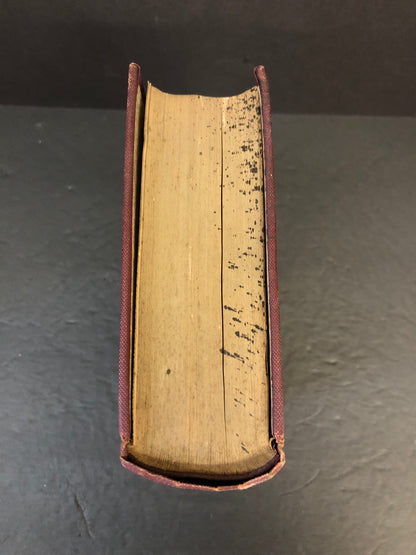 The Surgical Diseases of the Genito-Urinary Tract - G. Frank Lydston - 1899