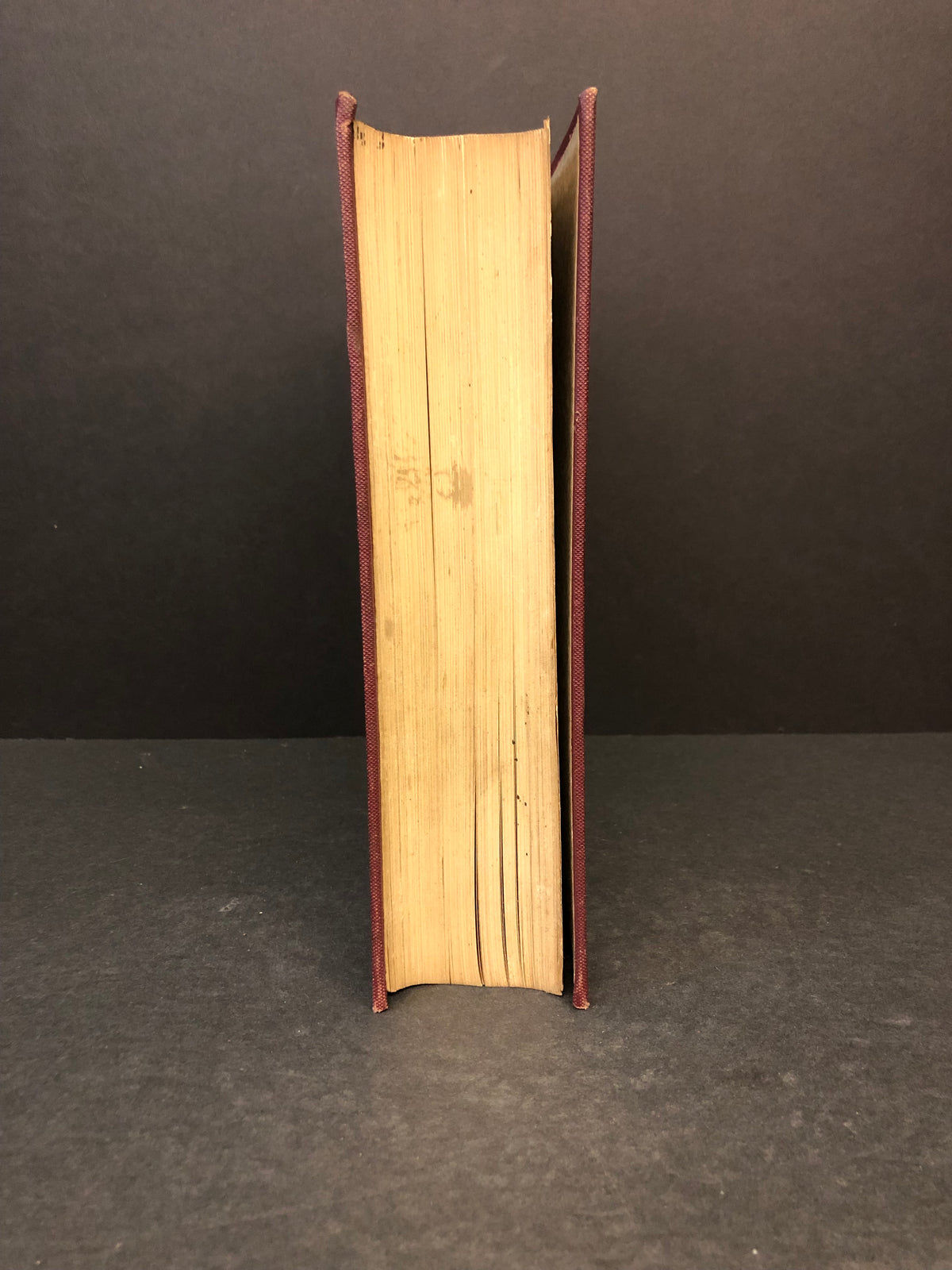 The Surgical Diseases of the Genito-Urinary Tract - G. Frank Lydston - 1899