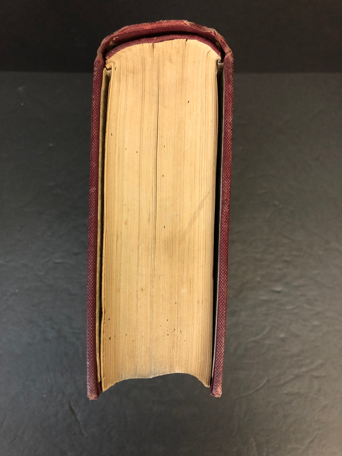 The Surgical Diseases of the Genito-Urinary Tract - G. Frank Lydston - 1899