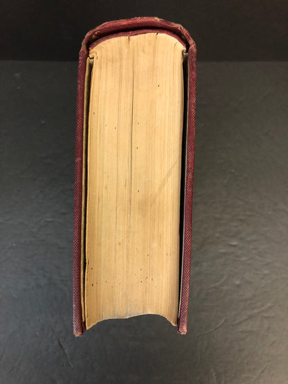 The Surgical Diseases of the Genito-Urinary Tract - G. Frank Lydston - 1899