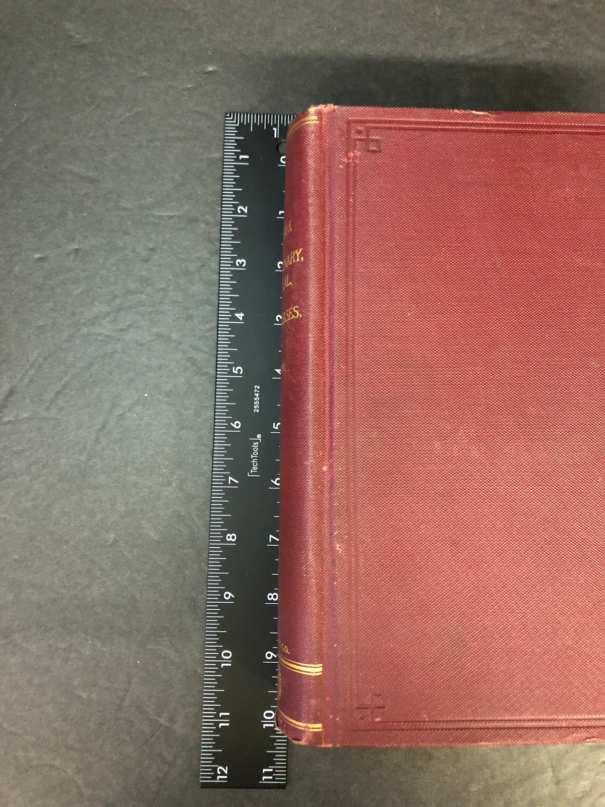 The Surgical Diseases of the Genito-Urinary Tract - G. Frank Lydston - 1899
