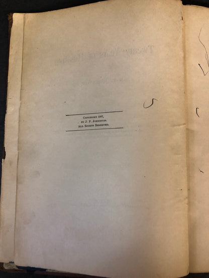 Twenty Years of Hus'ling - J.P. Johnston - Signed - 1888