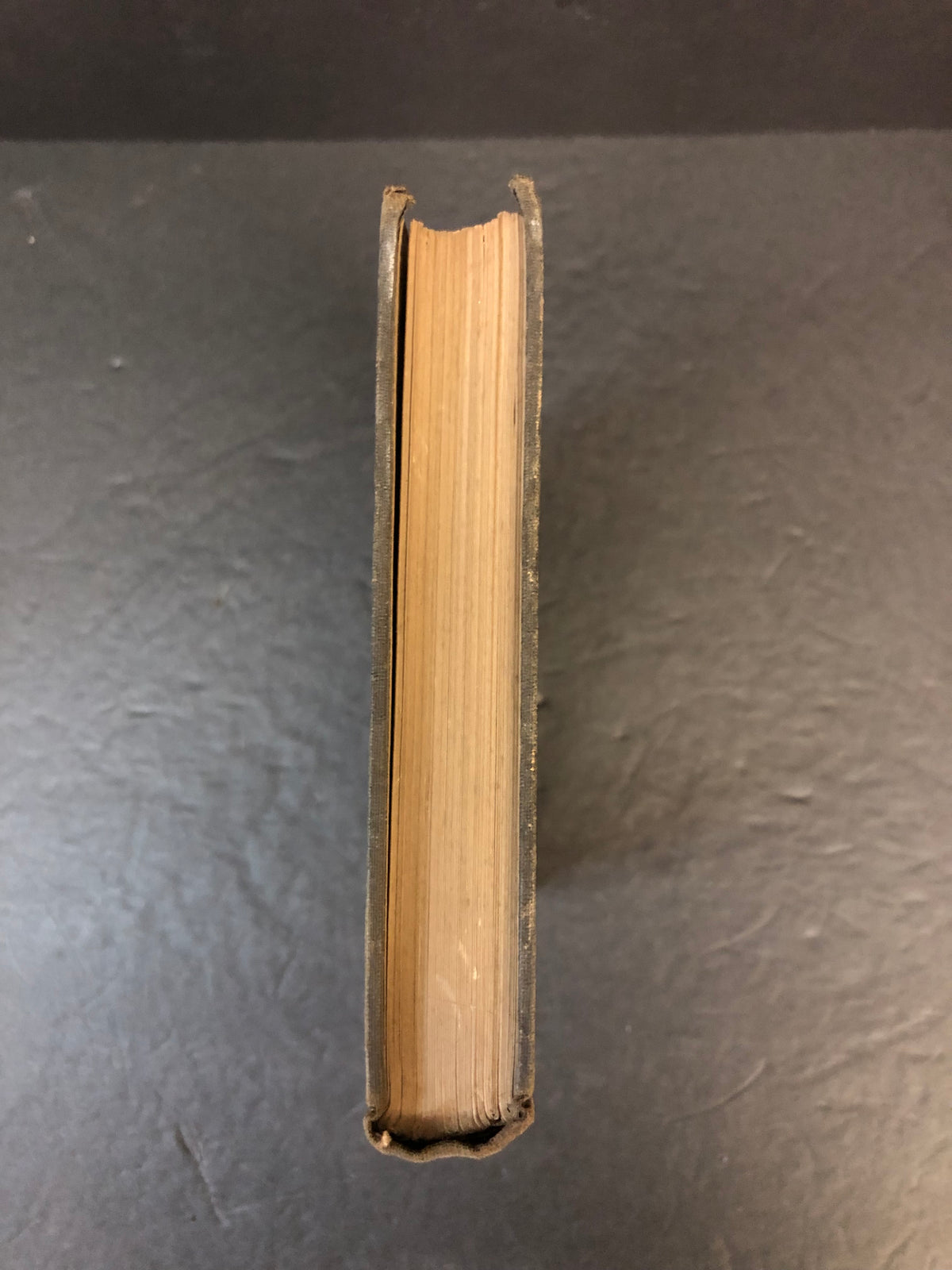 Diseases of the Nervous System - M. Allen Starr - 1898
