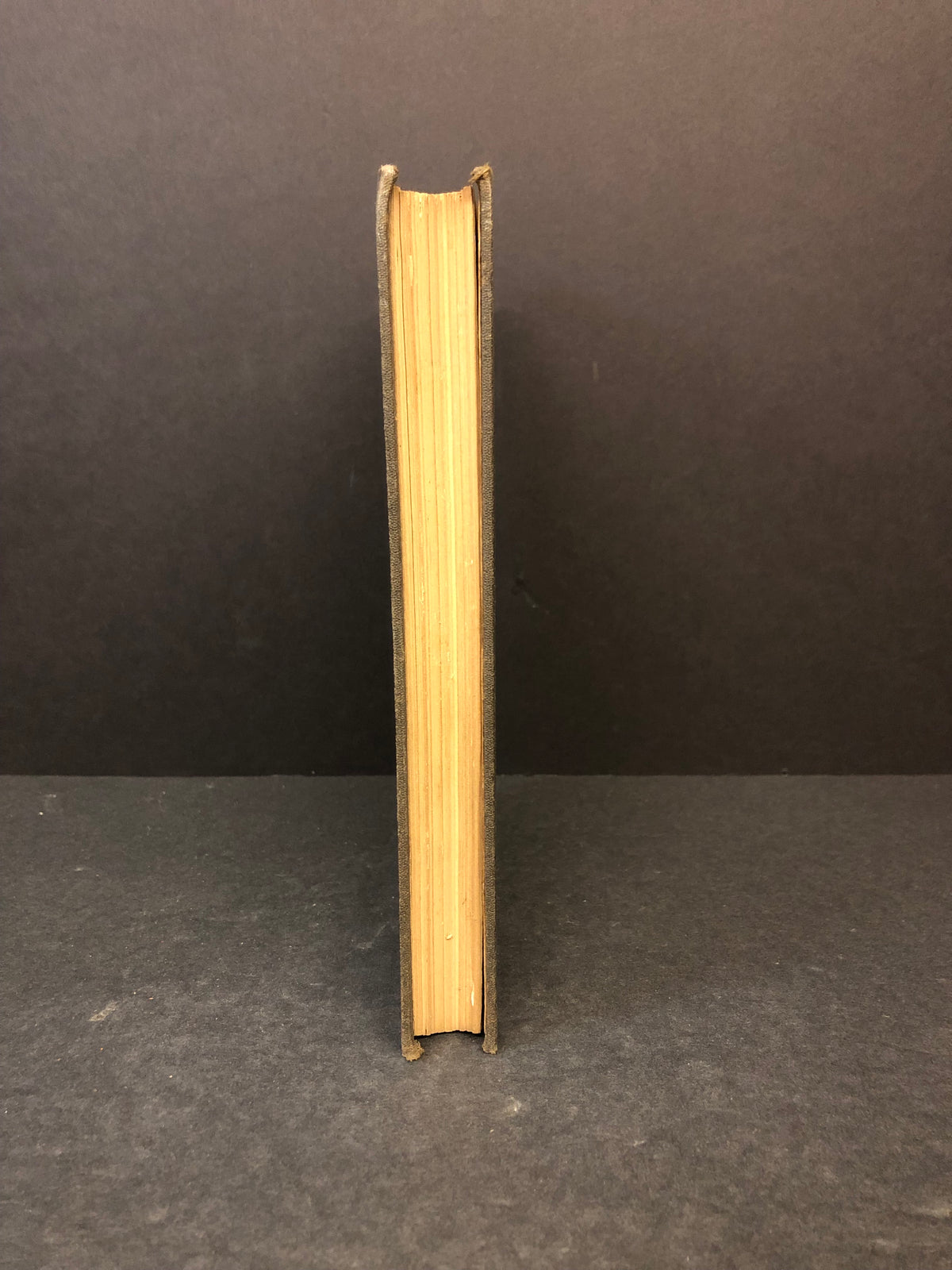 Diseases of the Nervous System - M. Allen Starr - 1898