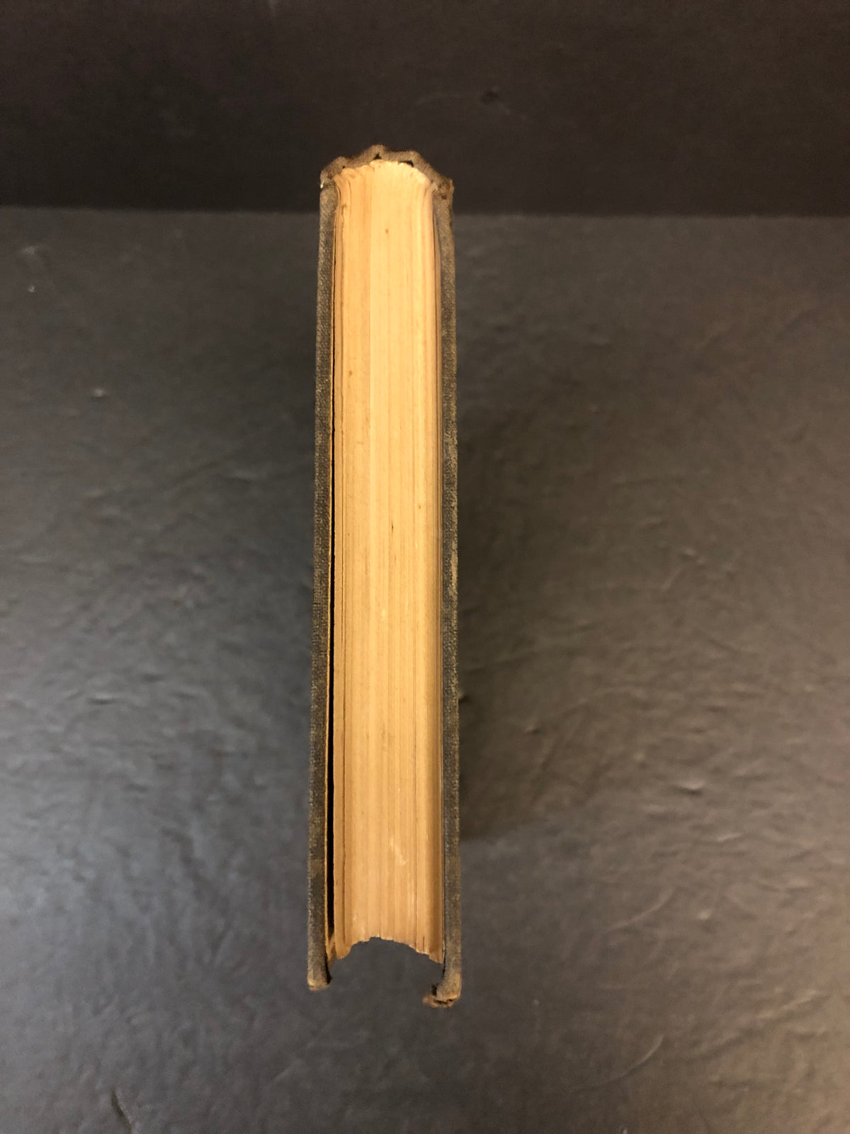 Diseases of the Nervous System - M. Allen Starr - 1898