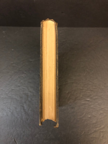 Diseases of the Nervous System - M. Allen Starr - 1898