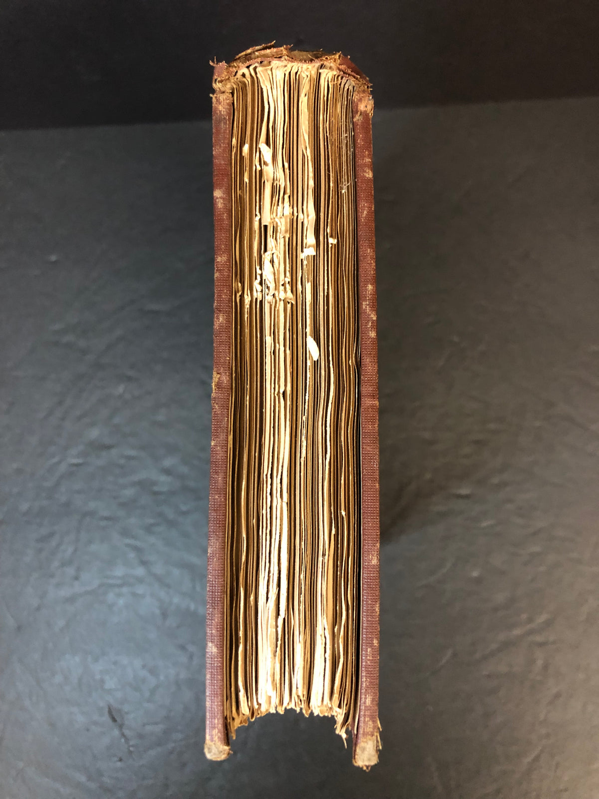 Memoirs of the International Congress of Anthropology - C. Staniland Wake - 1894