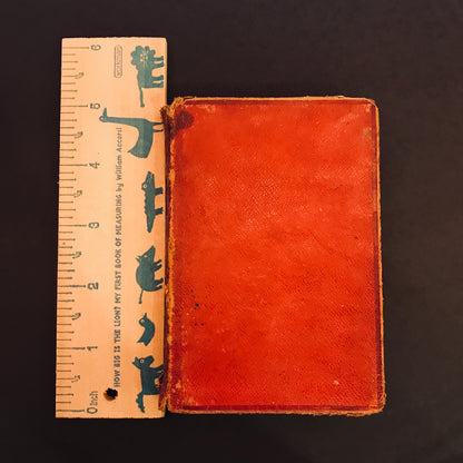 The New Testament Bible - German - Foreign Language - 1876