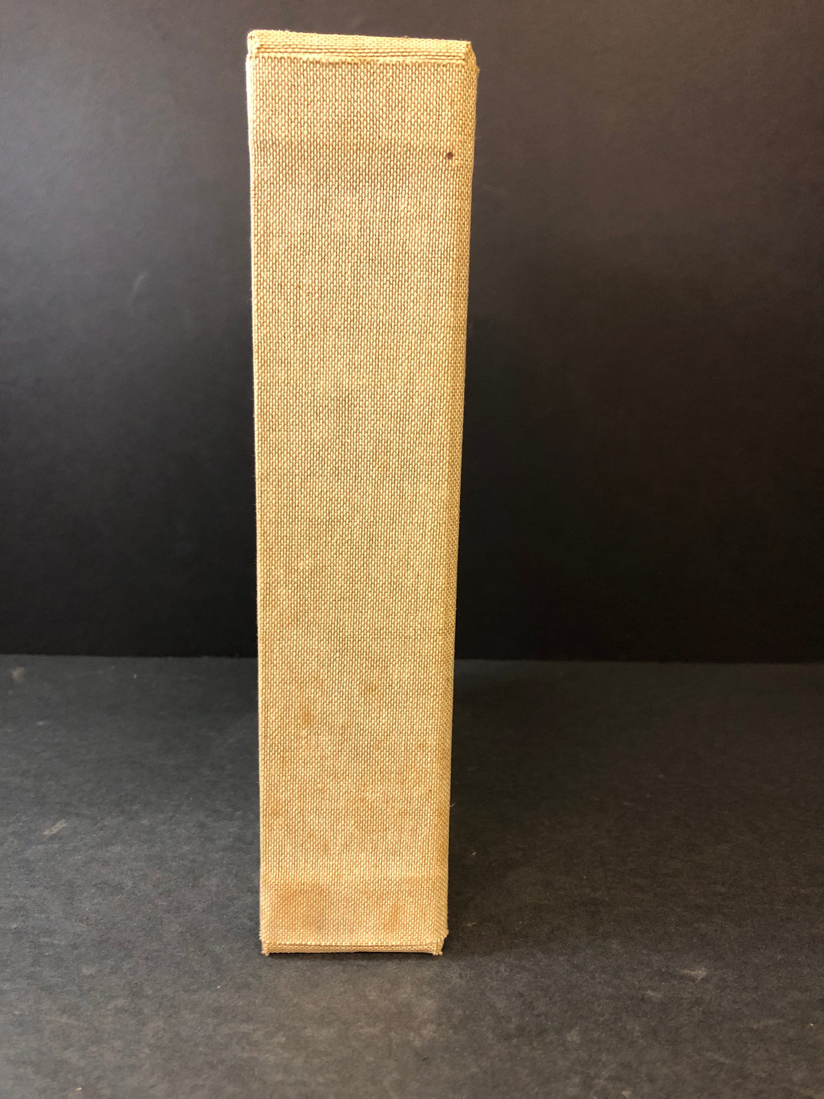 By Mountain, Lake, and Plain - Major R.L. Kennion - Limited - 1995