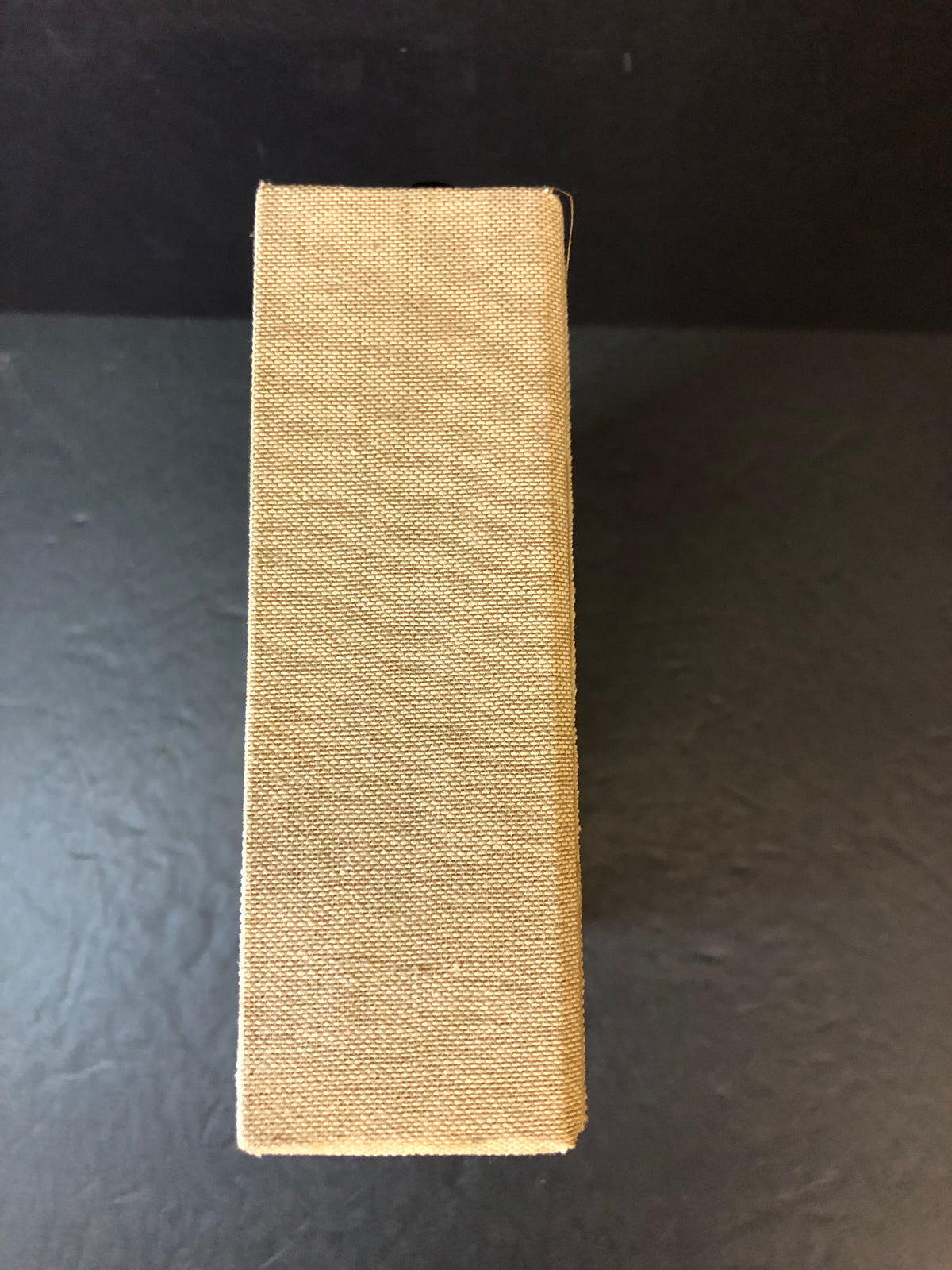 By Mountain, Lake, and Plain - Major R.L. Kennion - Limited - 1995