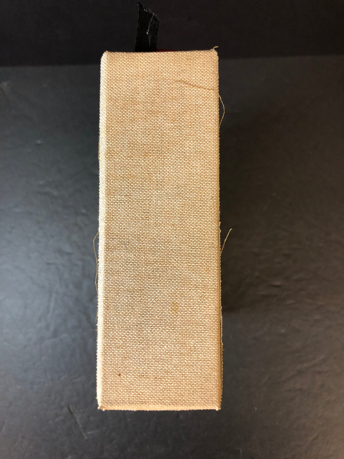 By Mountain, Lake, and Plain - Major R.L. Kennion - Limited - 1995