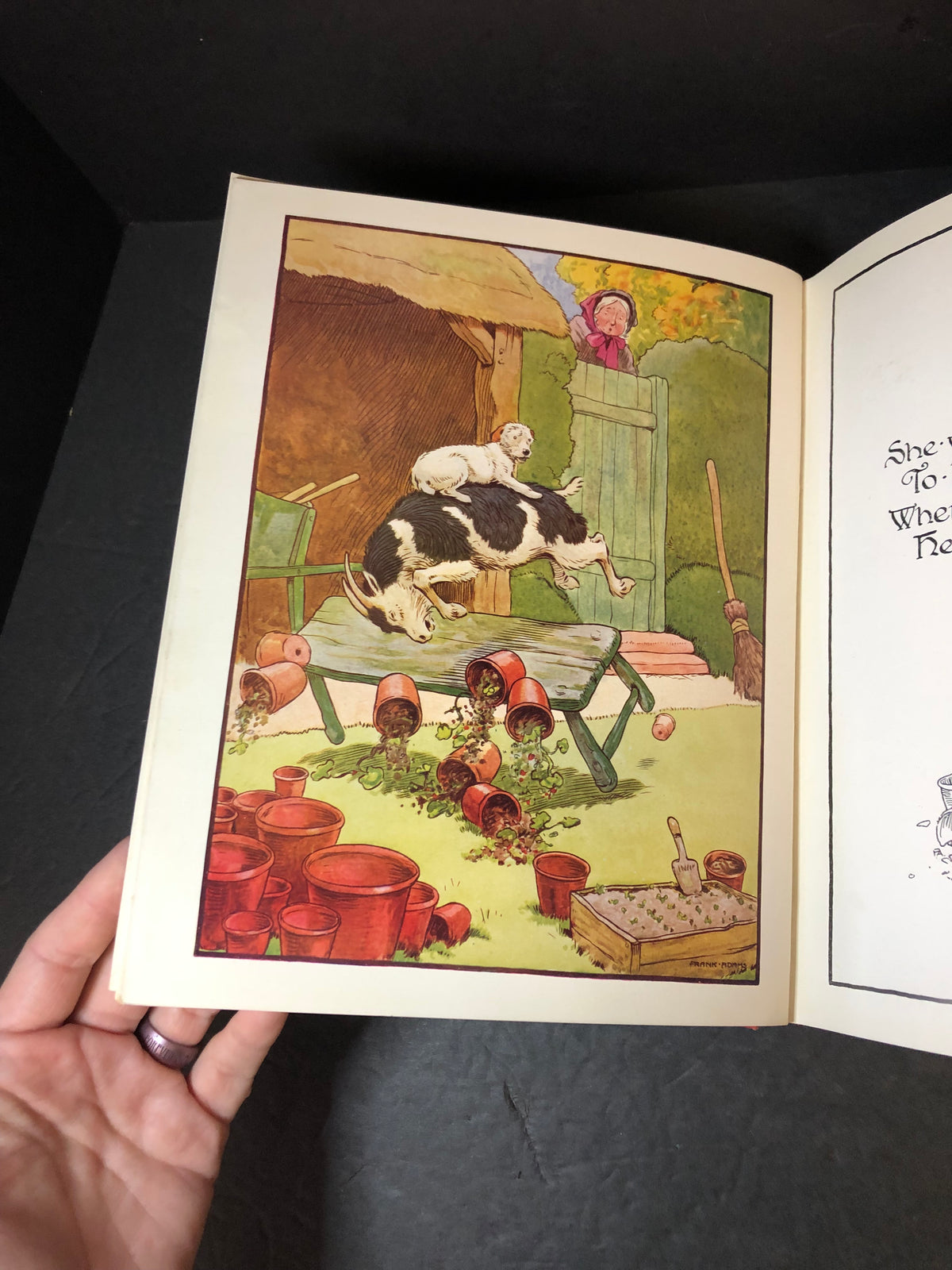 The Beautiful Book of Nursery Rhymes - Frank Adams - Scarce - 60 Color Plates - 1920