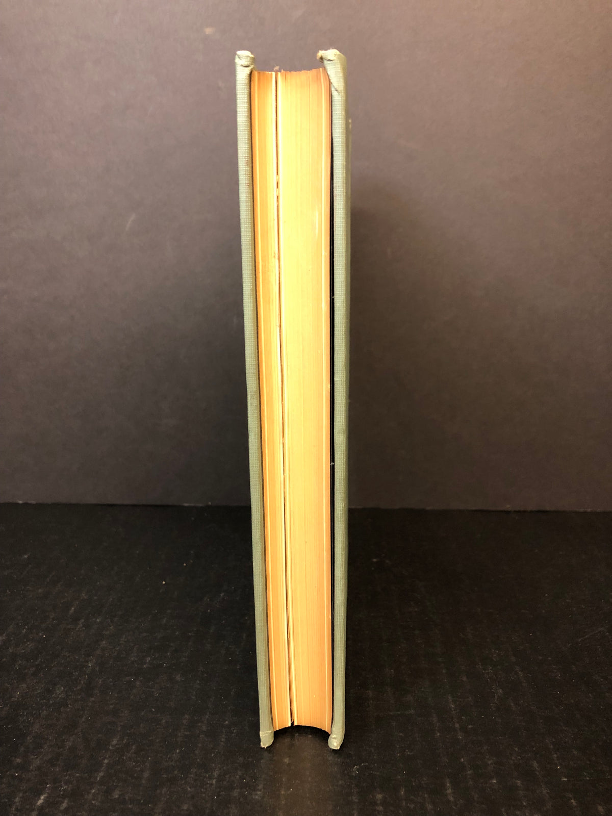 A Manual of Infantile Paralysis - Henry W. Frauenthal and Jacolyn Van Vliet Manning - 1914