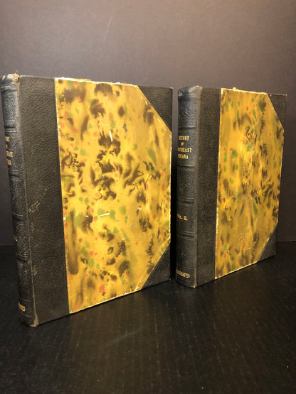 History of Northeast Indiana - Ira Ford - 2 Volume Set - 1920