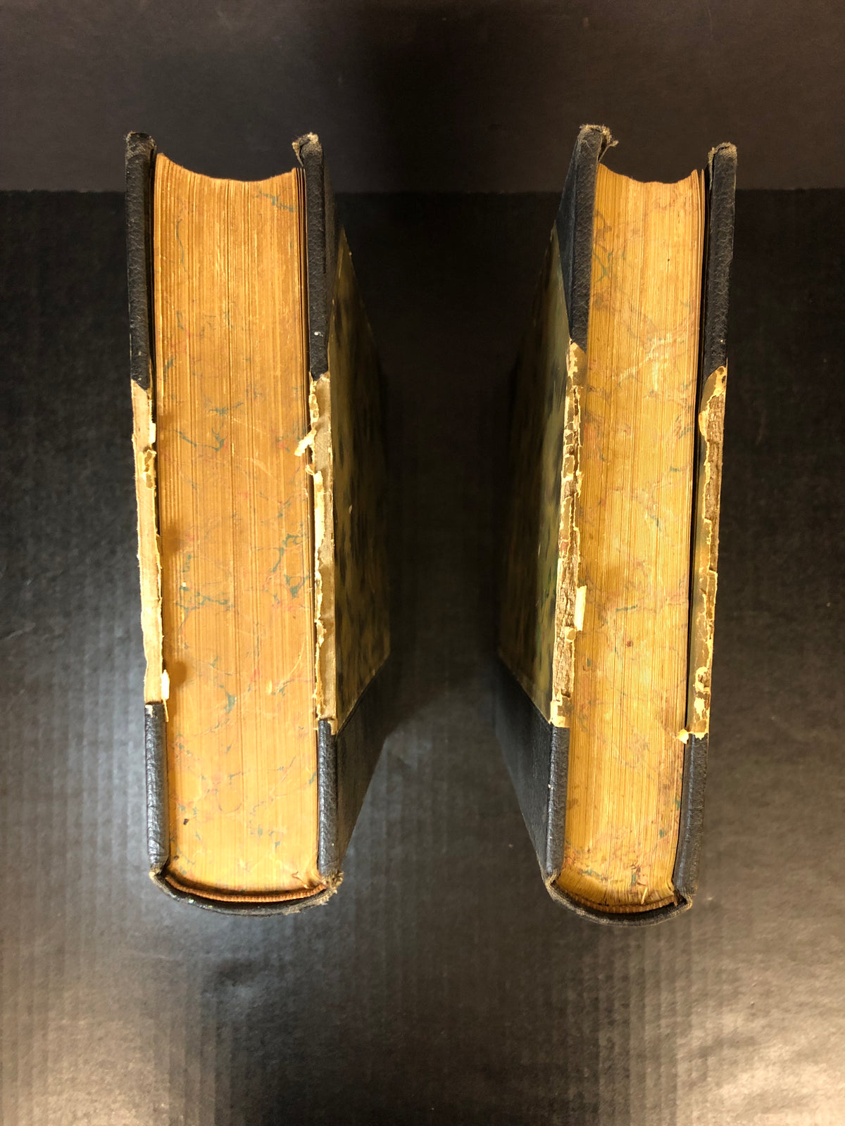 History of Northeast Indiana - Ira Ford - 2 Volume Set - 1920