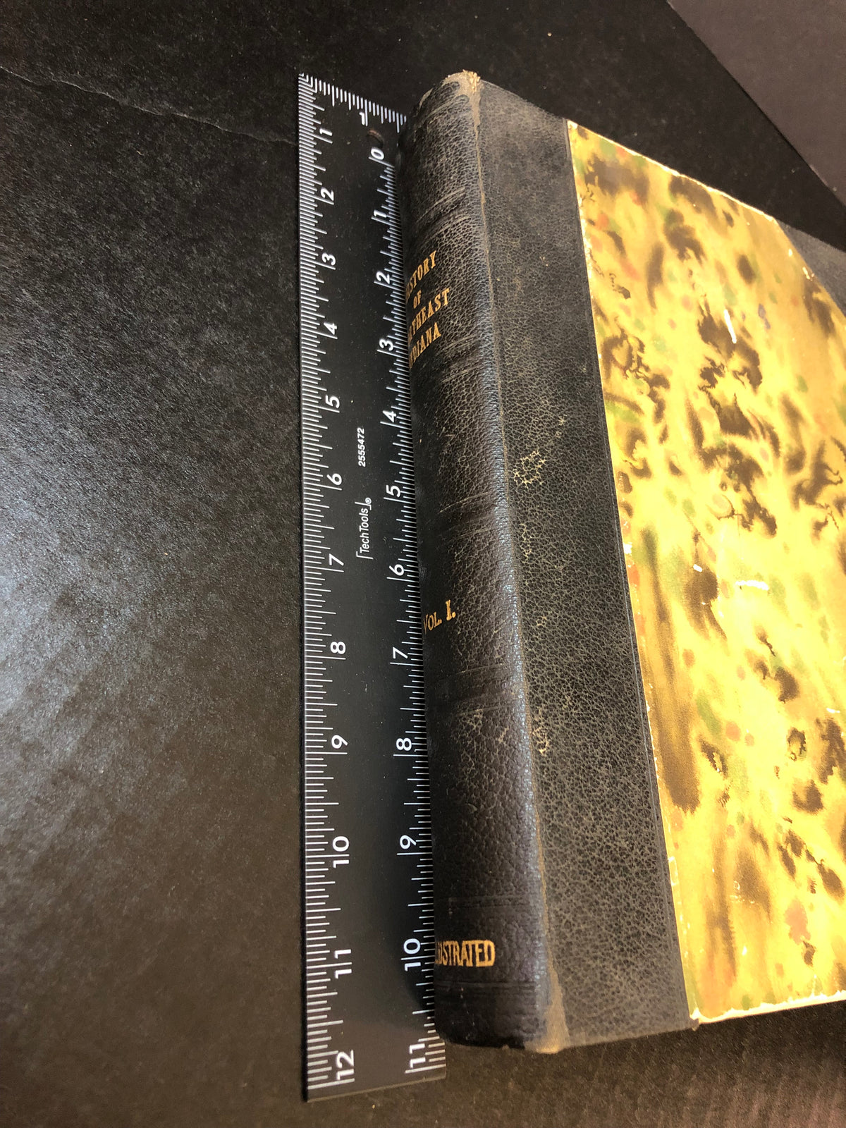 History of Northeast Indiana - Ira Ford - 2 Volume Set - 1920