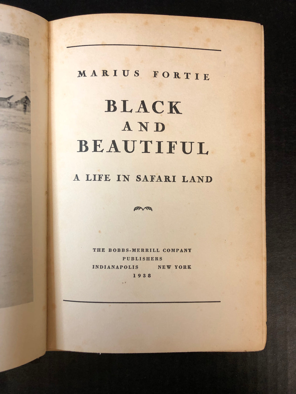 Black and Beautiful - Marius Fortie - 1938