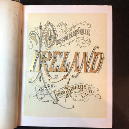 Picturesque Ireland - John Savage - 1884