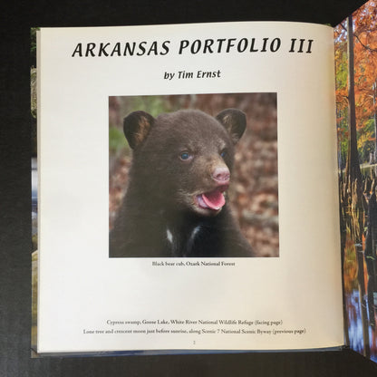 Arkansas Portfolio III - Tim Ernst - 2011