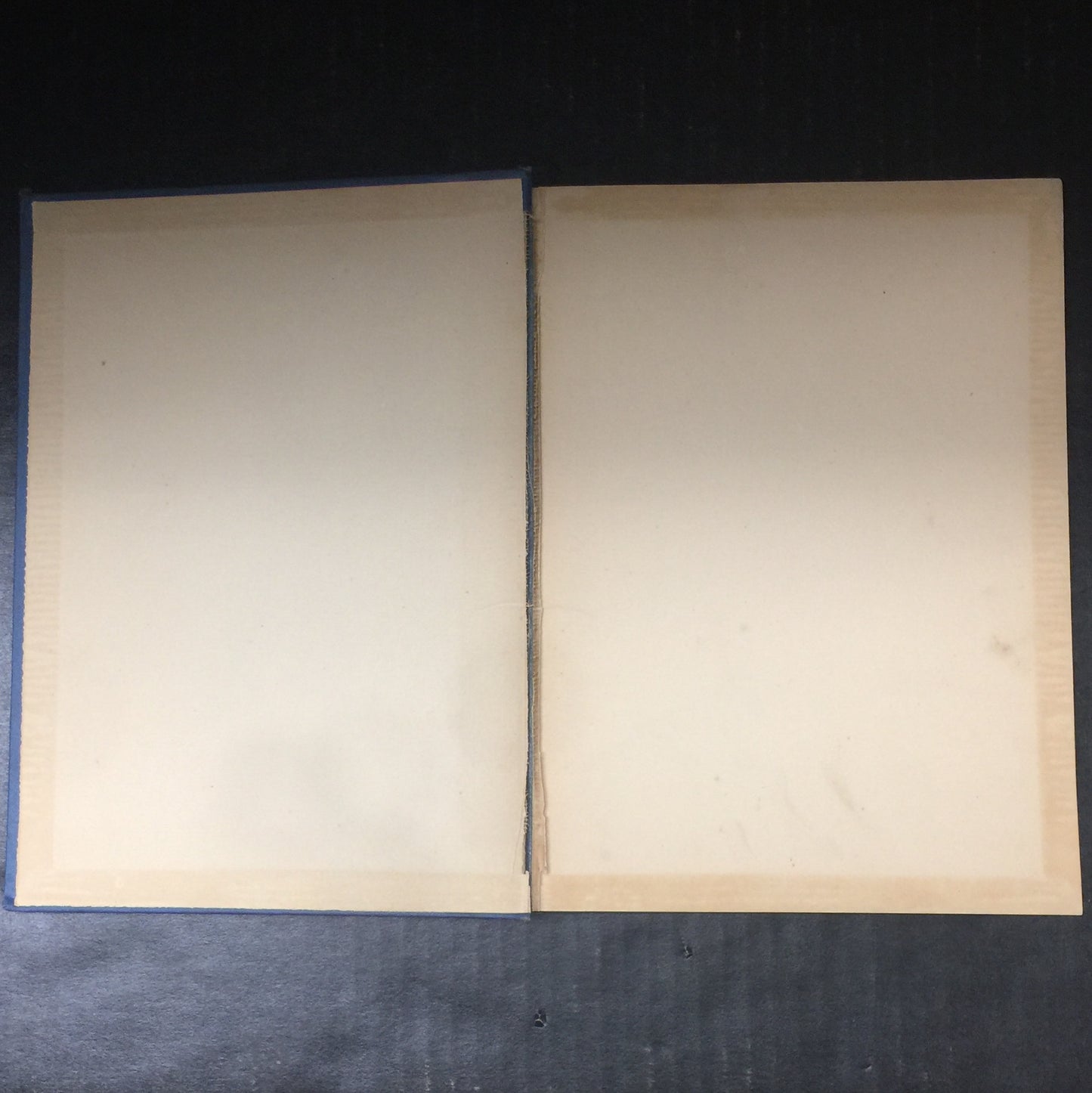 Poor Cecco - Margery Williams Bianco - First Edition - 1925