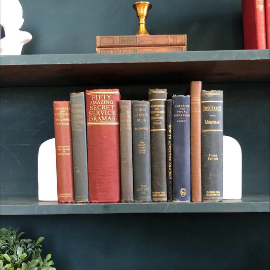 Ornate Hardcover Book Bundle: Decorative Display - 10 Classic Novels