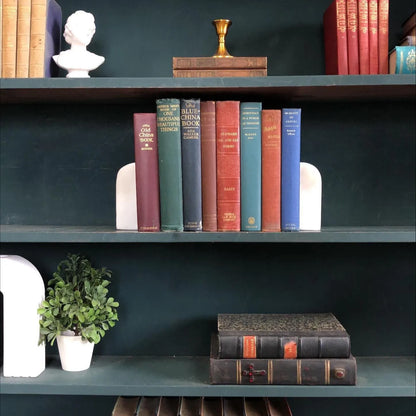 Decorative Non-Fiction Books by the Foot: Display Prop - 8 Hardcover Books